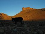 IMG_1286