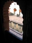 IMG_1384